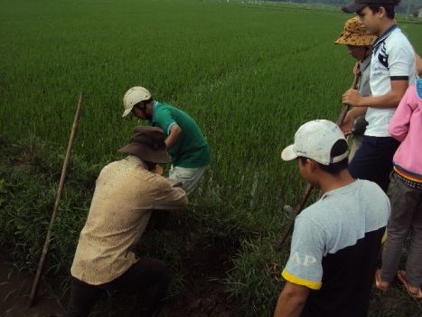 Ảnh diệt chuột bằng thuốc sinh học Biorat