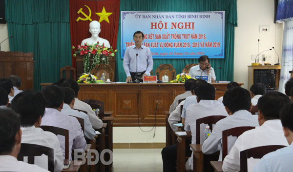 Phó chủ tịch UBND tỉnh Trần Châu phát biểu chỉ đạo tại hội nghị