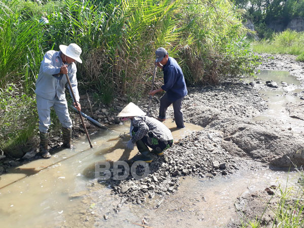 Nông dân Đồng Trại tích cực nạo vét suối bơm tát nước cứu lúa.