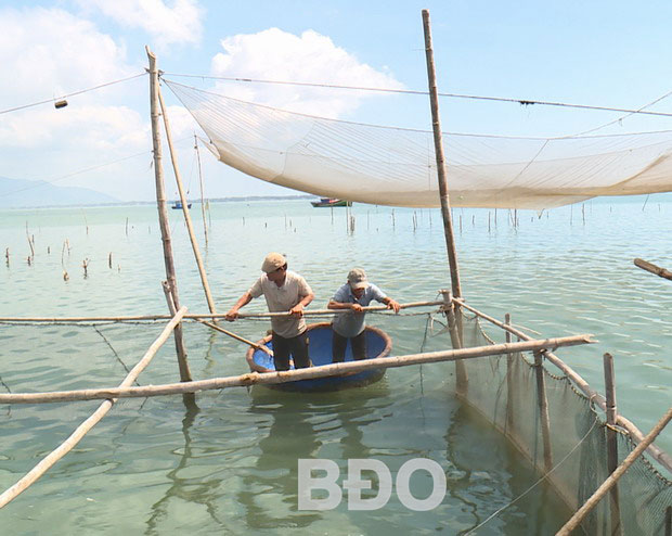 Một lồng bè nuôi hàu ở Cát Khánh, Đề Gi.