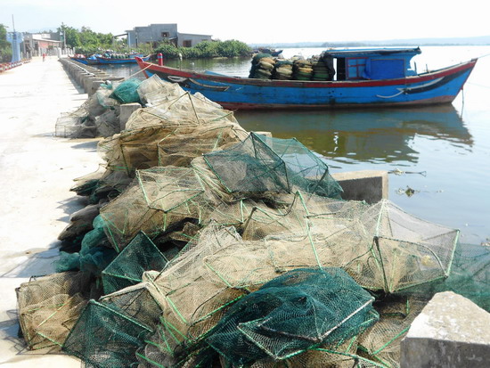 Ngư dân sử dụng lưới lồng để KTTS khiến nguồn lợi thủy sản trong đầm Thị Nại ngày càng cạn kiệt.