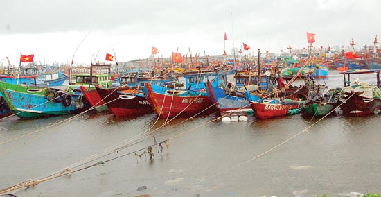 Khu trú bão âu thuyền Thọ Quang (Đà Nẵng) đã quá tải trong nhiều năm nay Ảnh: NGUYỄN HÙNG