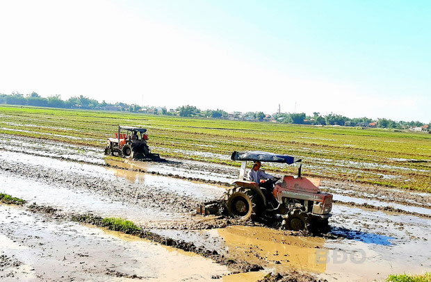 Nông dân xã Phước Hòa đẩy nhanh tiến độ làm đất kịp xuống giống vụ Hè Thu.