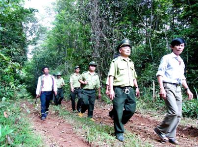 Vĩnh Thạnh: Tăng cường công tác phối hợp trong quản lý, bảo vệ rừng