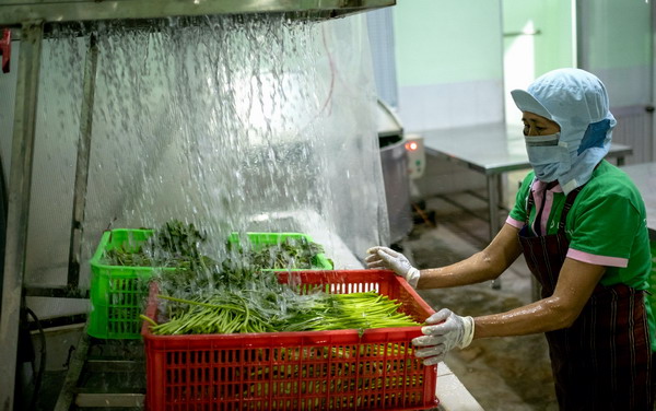 Quy trình sơ chế, đóng gói RAT Bình Định - nhãn hiệu Lá Lành. Ảnh: Văn phòng Dự án RAT Bình Định