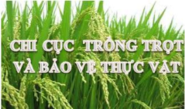 Chi cục Trồng trọt và BVTV