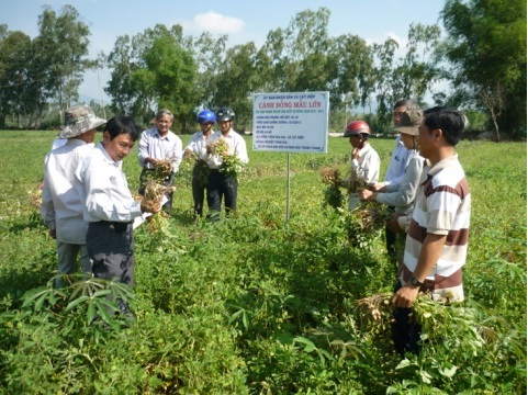 Kế hoạch diện tích các cây trồng và chuyển đổi cây trồng cạn trên đất lúa vụ Hè Thu 2017