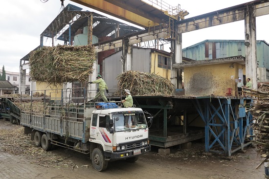 Do không tuân thủ công tác bảo vệ môi trường nên BISUCO bị tạm đình chỉ sản xuất vụ ép mía 2017-2018. - Trong ảnh: Vụ ép mía năm 2016-2017.