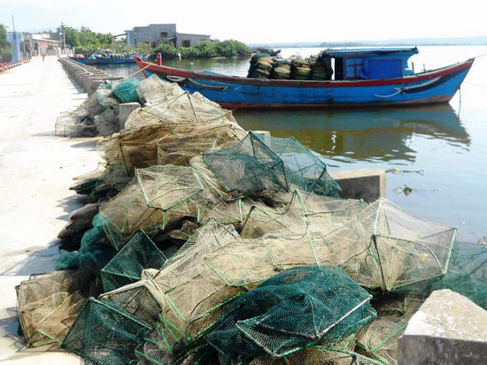 Nhiều ngư dân sinh sống ven đầm Thị Nại sử dụng lưới lồng để khai thác tận diệt nguồn lợi thủy sản.