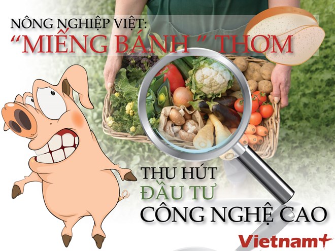 Bài 1: “Miếng bánh” thơm thu hút đầu tư công nghệ cao