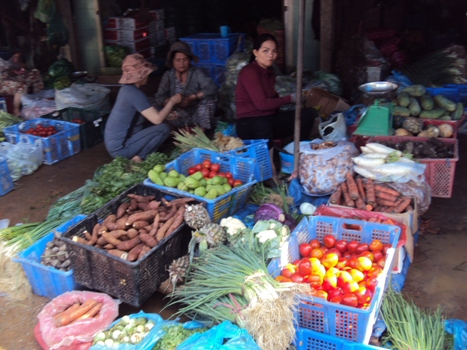 Chỉ thị về việc nâng cao năng lực quản lý nhà nước về chất lượng vật tư nông nghiệp và an toàn thực phẩm Nông, Lâm, Thủy sản