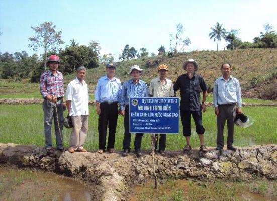 Kiểm tra mô hình thâm canh lúa nước ở xã vùng cao Vĩnh Sơn
