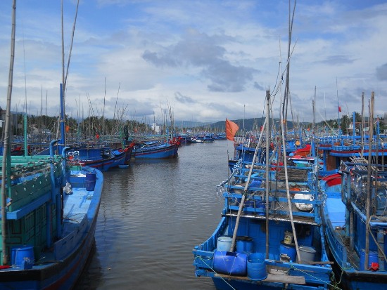 Tàu cá của ngư dân Hoài Nhơn neo đậu dày đặc tại cầu Thiện Chánh, xã Tam Quan Bắc.