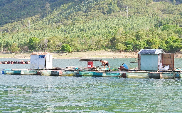 Lồng bè nuôi cá nước ngọt trên hồ Định Bình (huyện Vĩnh Thạnh).