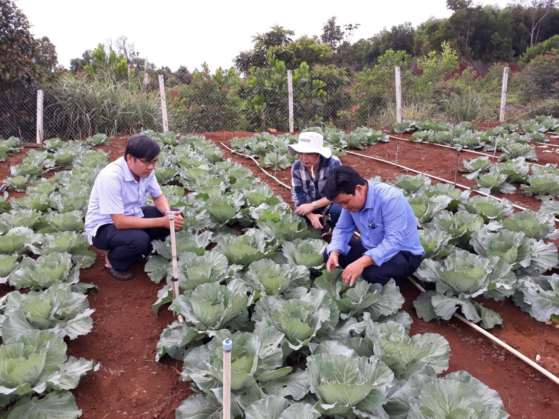 Đ/c Nguyễn Thị Tố Trân - PGĐ Sở, cùng đoàn công tác thăm vườn rau