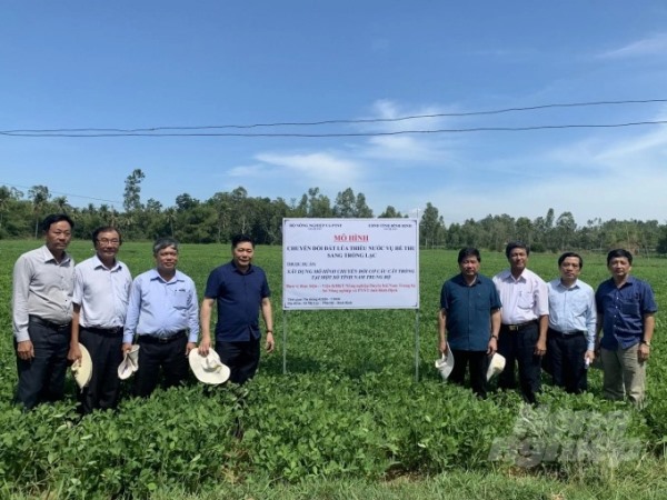 Thứ trưởng Bộ NN&PTNT Lê Quốc Doanh thăm các mô hình trong dự án chuyển đổi cơ cấu cây trồng trên đất lúa thiếu nước tại Bình Định